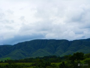 DELFINOPOLIS_TRATADAS-(2)