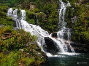 DELFINOPOLIS_TRATADAS-(6)