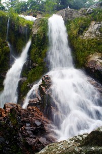 DELFINOPOLIS_TRATADAS-(8)