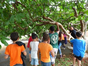 PAEM Conego Goiabeira com escritores 066