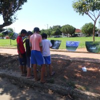 Apreciaçâo fotos de Ezer Carvalho